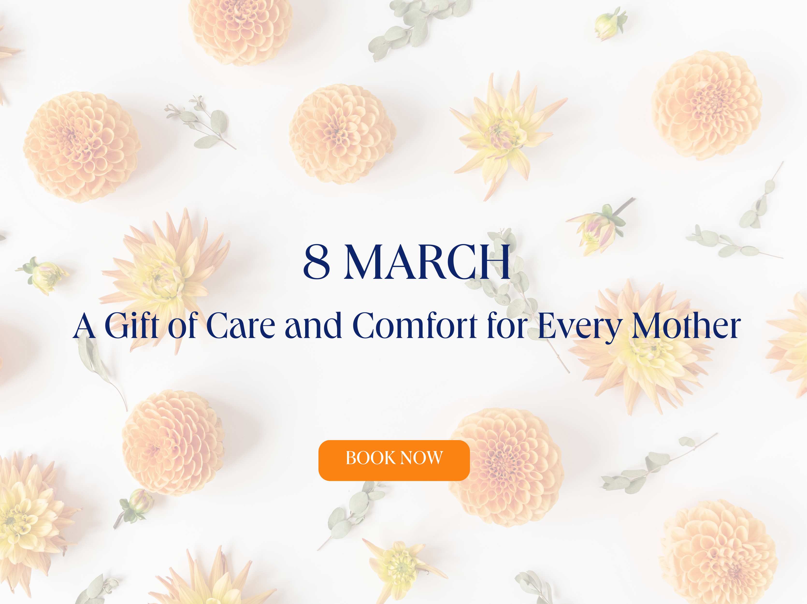 International Women’s Day | A Thoughtful Gift of Care for Every Mother