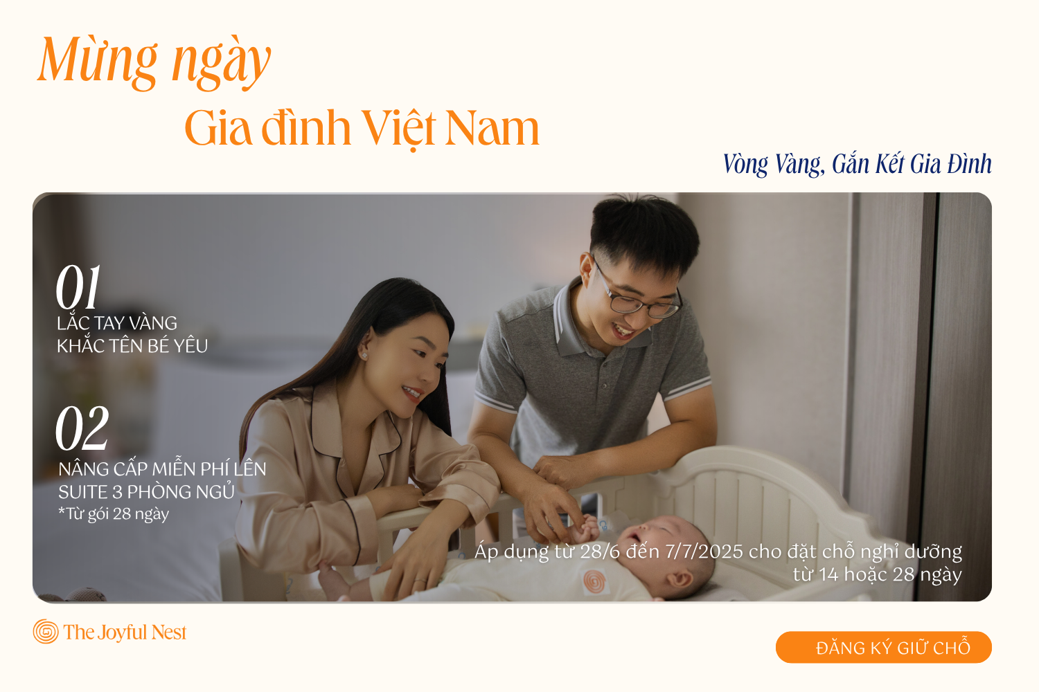 TJN Website (1)