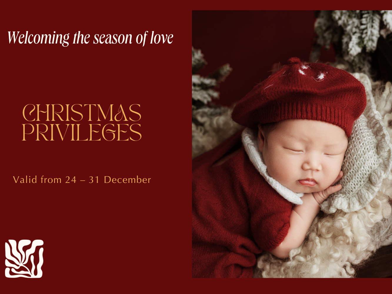 Đặc quyền giáng sinh cùng The Joyful Nest Đặc quyền giáng sinh cùng The Joyful Nest