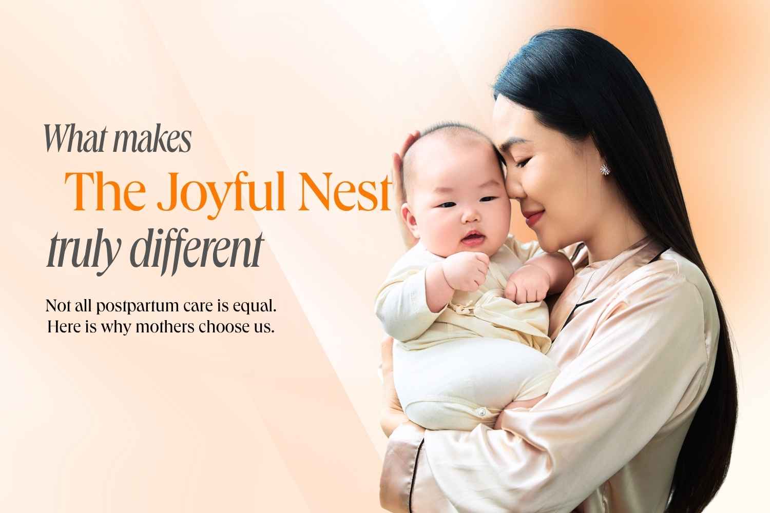TJN Website (1) TJN Website (1)
